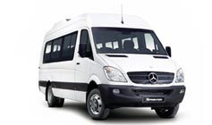 Noleggio auto Isola del Giglio